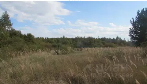 Участок в Московская область, Коломна городской округ, пос. Пески  ...