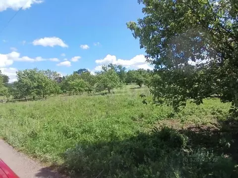 Участок в Курская область, Горшеченский район, Куньевский сельсовет, ...
