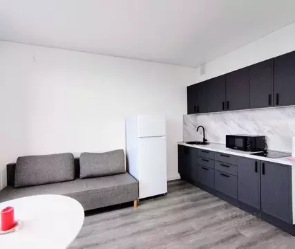 2-к кв. Санкт-Петербург Дальневосточный просп., 19к1 (51.4 м)