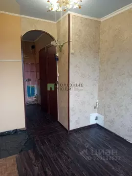 Студия Красноярский край, Красноярск ул. Толстого, 45 (14.0 м)