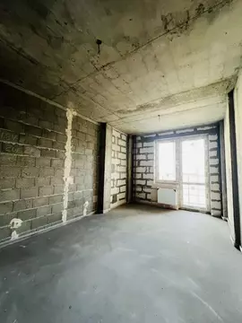 Студия Ленинградская область, Всеволожский район, Романовское с/пос, ...