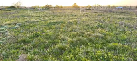 Участок в Волгоградская область, Волгоград ул. Плетеная (6.76 сот.)