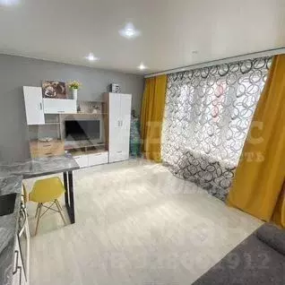 Студия Тюменская область, Тюмень ул. Николая Никитина, 6 (26.5 м)