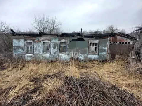 Участок в Брянская область, Фокино ул. Пушкина (25.5 сот.)