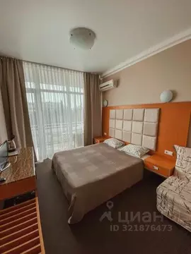 1-к кв. Краснодарский край, Сочи Курортный просп., 75к1 (20.0 м)