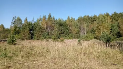 Участок в Московская область, Егорьевск муниципальный округ, с. ...