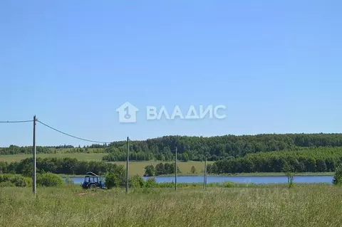 Участок в Нижегородская область, Богородский муниципальный округ, д. ...