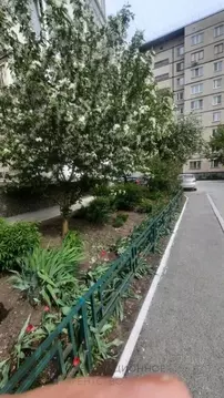 1-к кв. Тюменская область, Тюмень Комсомольская ул., 44 (33.6 м)