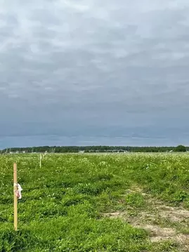 Участок в Ленинградская область, Ломоносовский район, Горбунковское ...