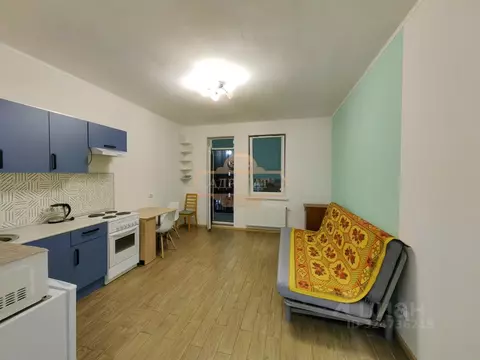 Студия Санкт-Петербург просп. Авиаконструкторов, 61 (25.0 м)