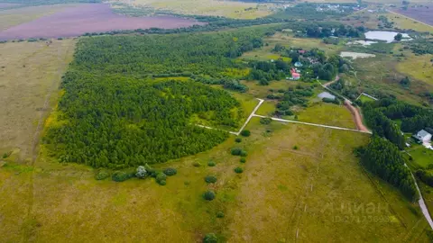 Участок в Тульская область, Заокский район, Демидовское с/пос, д. ...