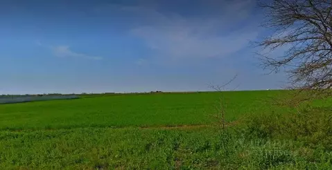 Участок в Крым, Сакский район, с. Орехово  (50.0 сот.)