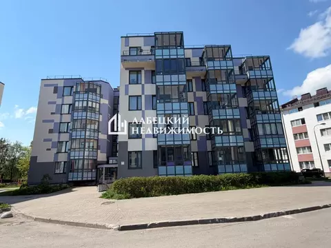 Студия Ленинградская область, Всеволожск Школьная ул., 12 (24.7 м)