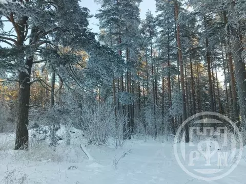 Участок в Ленинградская область, Выборгский район, Полянское с/пос, ...