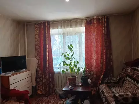 1-к кв. Алтайский край, Бийск пер. Прямой, 21 (27.5 м)