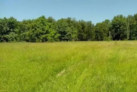 Участок в Краснодарский край, Северский район, Смоленское с/пос, ...