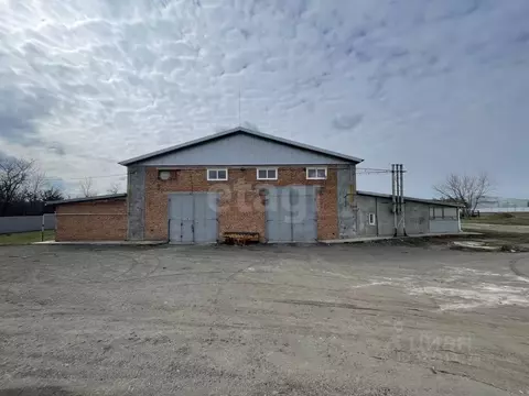 Склад в Ростовская область, Родионово-Несветайская сл. ул. ...