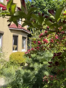 Дом в Калининградская область, Балтийск Балтийская Дружба СНТ, ул. 4-я ...