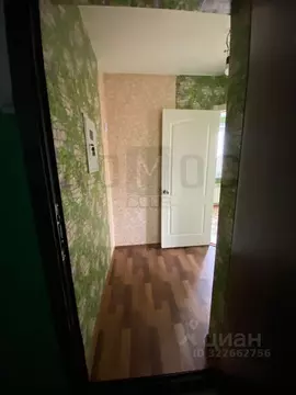 1-к кв. Курганская область, Куртамыш Студенческая ул., 3Д (28.0 м)