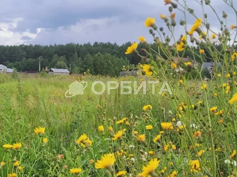 Участок в Свердловская область, Тугулымский муниципальный округ, с. ...