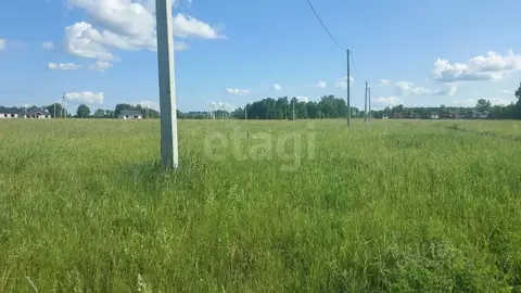 Участок в Алтайский край, Первомайский район, с. Фирсово, Полесье мкр  ...