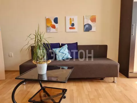 1-к кв. Санкт-Петербург, Санкт-Петербург, Петергоф ул. Путешественника ...