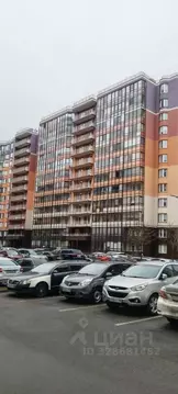 Студия Санкт-Петербург ул. Летчика Лихолетова, 14к3 (24.1 м)