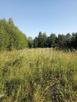 Участок в Свердловская область, Горноуральский муниципальный округ, с. ...