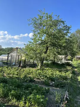 Участок в Костромская область, Кострома Прогресс СНТ, 105 (7.1 сот.)