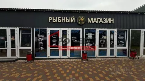 Помещение свободного назначения в Севастополь ул. Тарутинская, 36А (64 ...