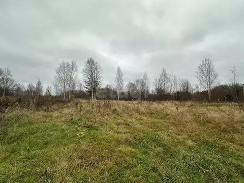 Участок в Ярославская область, Брейтовский муниципальный округ, ...