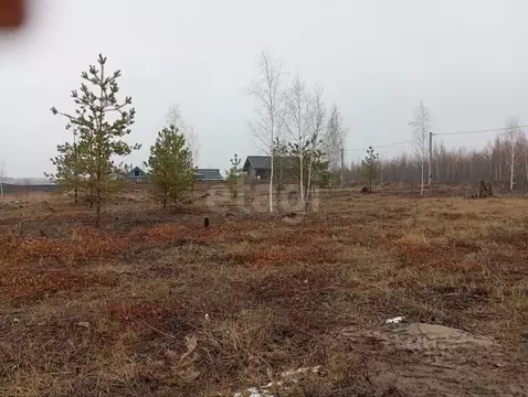 Участок в Воронежская область, Рамонский район, Новоживотинновское ...