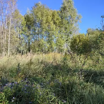 Участок в Московская область, Павлово-Посадский городской округ, д. ...