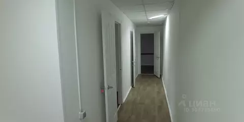 Офис в Саратовская область, Саратов ул. Имени П.И. Грибова, 3 (98 м)