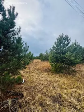 Участок в деревня Барское (11.5 м)