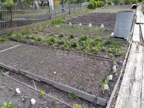 Участок в Хабаровский край, Комсомольск-на-Амуре АО АСЗ сад № 8 СНТ, ...