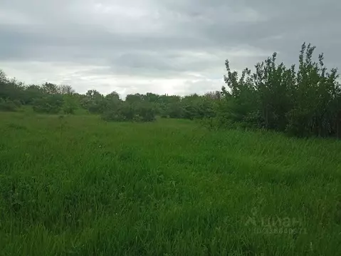 Участок в Ставропольский край, Изобильненский муниципальный округ, с. ...