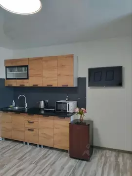 Студия Рязанская область, Рязань Олимпийский городок мкр, 3 (22.0 м)