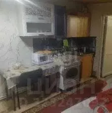 Студия Ямало-Ненецкий АО, Новый Уренгой СМП-700 мкр, проезд Майский, ...