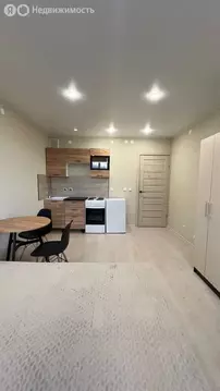 Квартира-студия: Пермь, Буксирная улица, 10 (20.5 м)