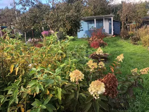 Дом в Калининградская область, Калининград Сад-3 СНТ, ул. Цветочная ...