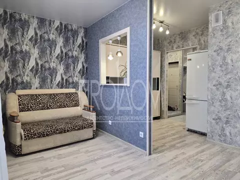 Студия Алтайский край, Барнаул Партизанская ул., 203 (29.0 м)