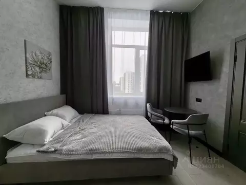 Студия Санкт-Петербург Сердобольская ул., 7 (17.0 м)