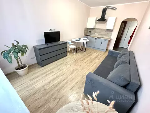 Студия Московская область, Ногинск Богородский городской округ, ул. ...