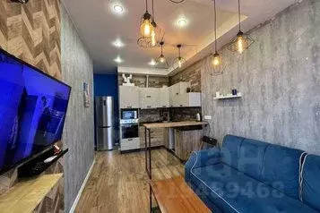 1-к кв. Краснодарский край, Сочи Ландышевая ул., 12Д (45.0 м)