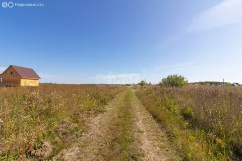 Участок в Тюменский муниципальный округ, село Салаирка (9.1 м)