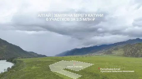 Участок в Алтай, Чемальский район, Куюсское с/пос  (85.0 сот.)