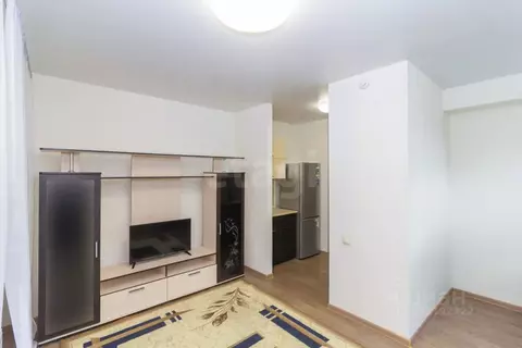 Студия Тюменская область, Тюмень ул. Червишевский Тракт, 45 (27.0 м)