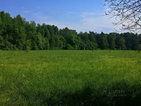 Участок в Московская область, Серпухов городской округ, пос. Оболенск  ...