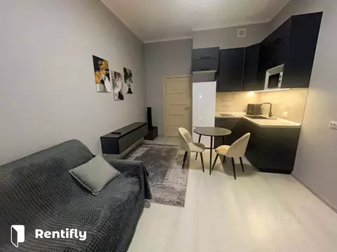 Студия Санкт-Петербург ул. Меридианная, 6к1 (21.4 м)